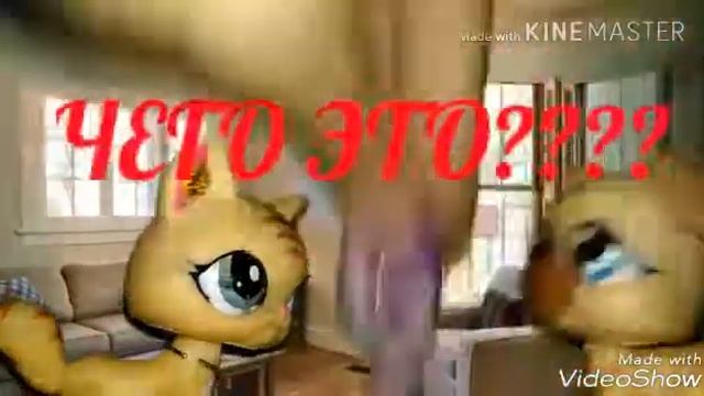 LPS| Когда парень подарил своей девушке котенка:3КВН смотреть онлайн