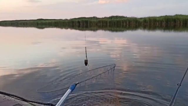 рыбалка в жару, Дусай-Кичу.донки.вечер ночь утро.густера,подлещик.КОМАРЫ!!! смотреть онлайн