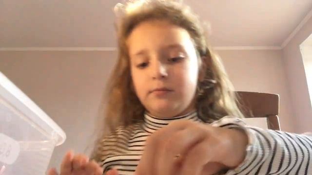 Делаю из бисера черепашку ?