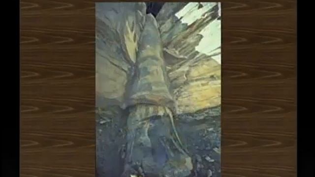 Теория эволюции как самая глобальная ложь.ч.1 . Ирина Болл . смотреть онлайн