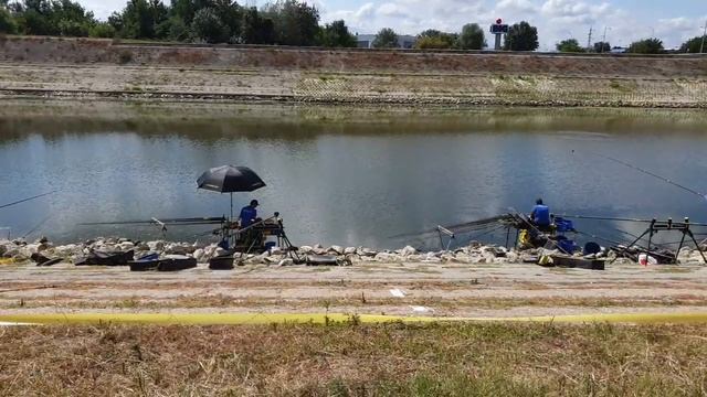 Чемпионат мира по поплавочной ловле. Третий день тренировок смотреть онлайн