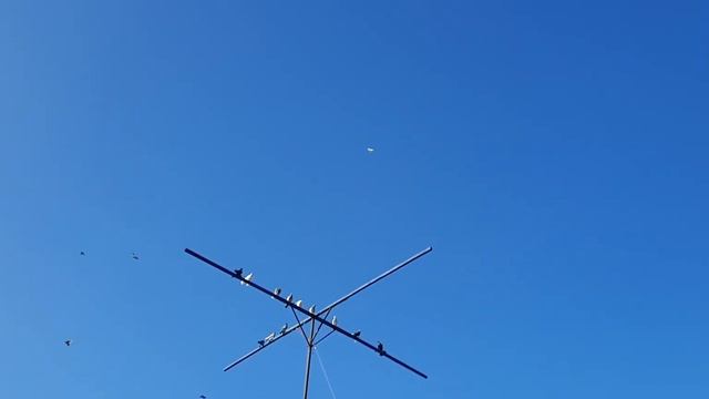 28 сентября 2023 г. смотреть онлайн