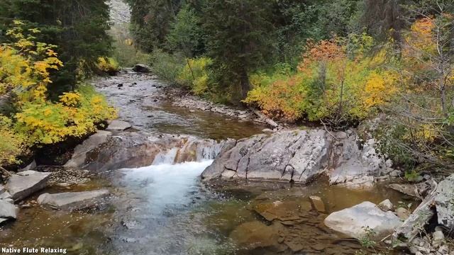 Relaxing Native Flute And Nature Sounds For Meditation, Healing, Sleep - Native American Sleep Flut