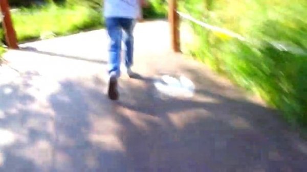 Outdoor Playground Fun for Kids Family Park with Dinosaurs - Nursery Rhymes Song for Children