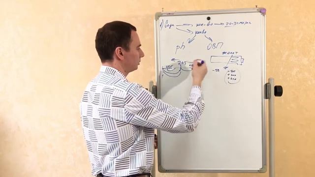 Здоровье,омоложение и активное долголетие смотреть онлайн