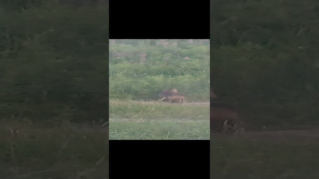 Гость 20220619 смотреть онлайн