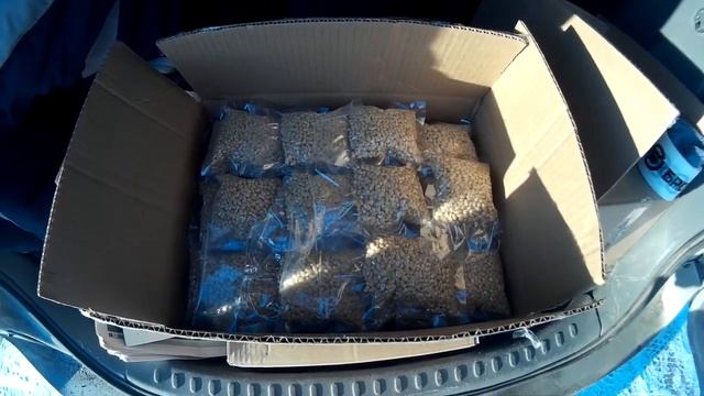 Ядро кедрового ореха доставка во все регионы России!