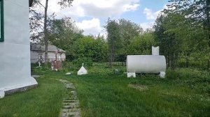 церковь в Костенеево. Май