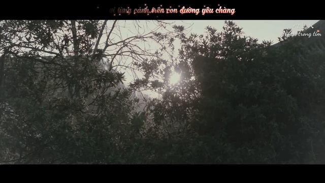 [Vietsub][FMV] Ước Hẹn Đào Hoa - A Tô Lặc x Bạch Châu Nguyệt (Lưu Hạo Nhiên, Trần Hạo Vũ) смотреть онлайн