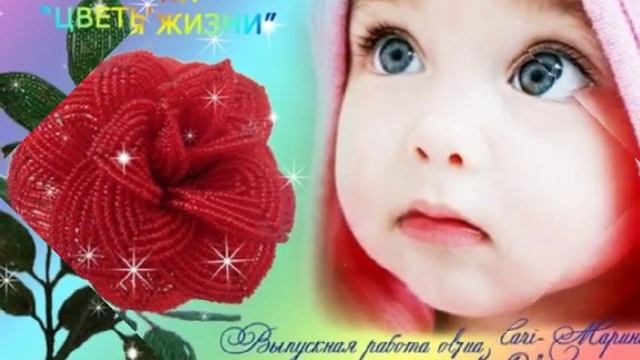 Розы для акции Цветы жизни смотреть онлайн