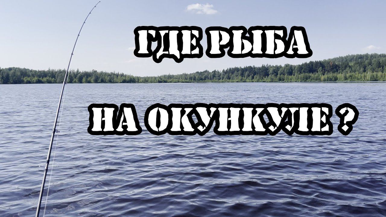 Рыбалка на озере окункуль. Где вся рыба? смотреть онлайн
