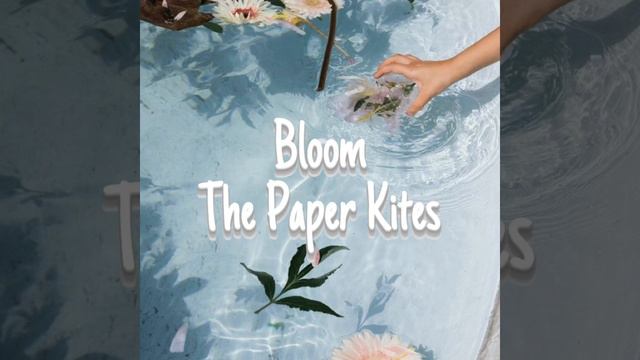 bloom ~ the paper kites (slowed) смотреть онлайн