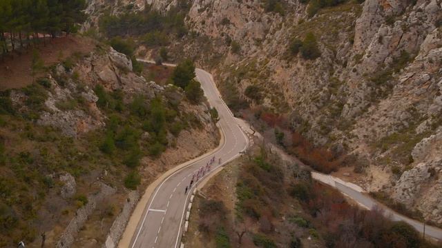Bardiani CSF Faizanè - Season 2021 смотреть онлайн