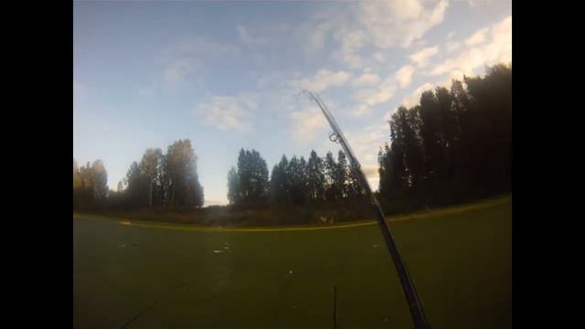 Рыбалка на пруду у Сергея Ивановича смотреть онлайн