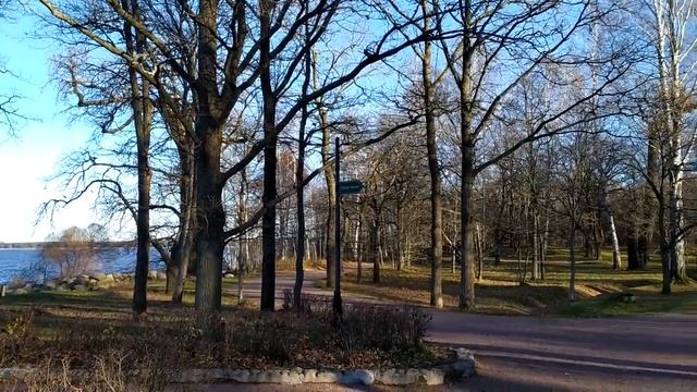 Сестрорецк - Финский залив, пляж, парк Дубки | Курорты Питера, ноябрь 2020 смотреть онлайн