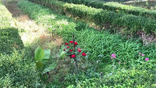 Прогулка Харакский Парк и Санаторий Днепр. 09.11.2023 смотреть онлайн