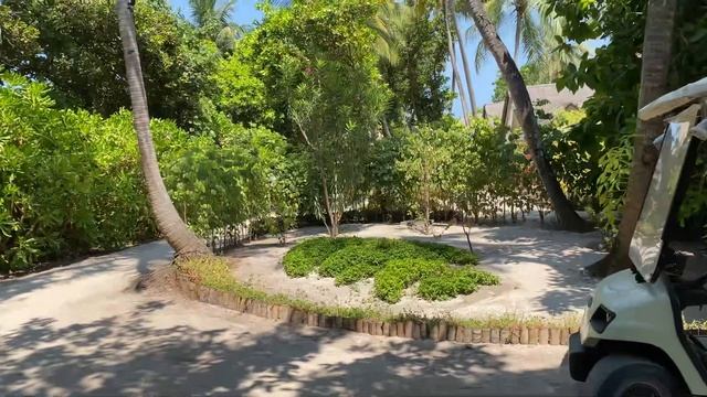 Мальдивы KUDAFUSHI 1й день прилёта 2.03.2021 смотреть онлайн