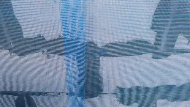 Короед по газобетону