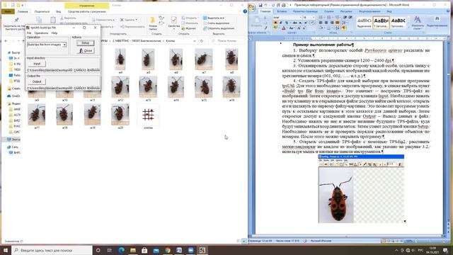 Расстановка меток-ландмарок смотреть онлайн