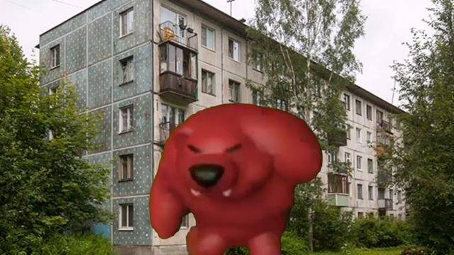 Медведь флексит на фоне пяти этажного дома под флексовую песню (смотреть онлайн без регистрации) смотреть онлайн