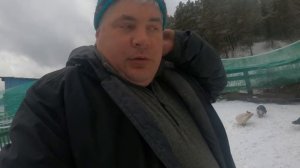 Лучшая утка для разведения/Мускусная утка/Индоутка