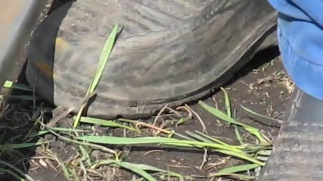 Теплица своими руками 4