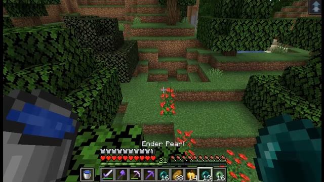 Finnaly defeated ENDER DRAGON | #2 смотреть онлайн
