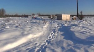 Откопались уже? Вегетарианство и здоровье. Жизнь в деревне.