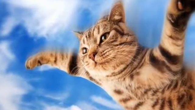 Как не надо снимать #1 смотреть онлайн