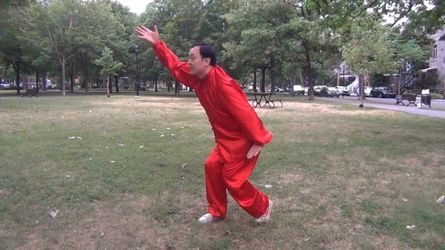 Петух 05 Петух летит на ветке, 13 когтей Шаолиня, демонстрация движения самообороны