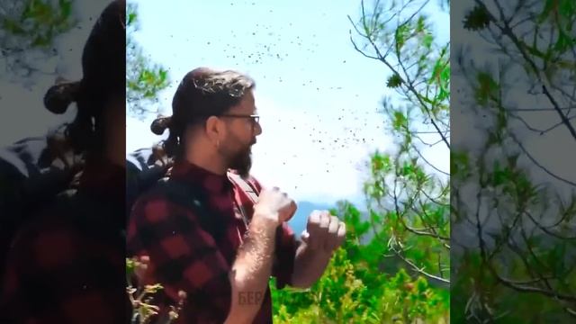 ПРОСТЫЕ ИДЕИ ДЛЯ КЕМПИНГА, ЧТОБЫ ПРЕКРАСНО ПРОВЕСТИ ВРЕМЯ В ЛЕСУ смотреть онлайн