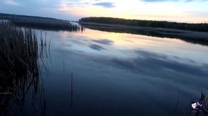 ЛОВЛЯ КАРПА ВЕСНОЙ/FISHING FOR CARP IN EARLY SPRING