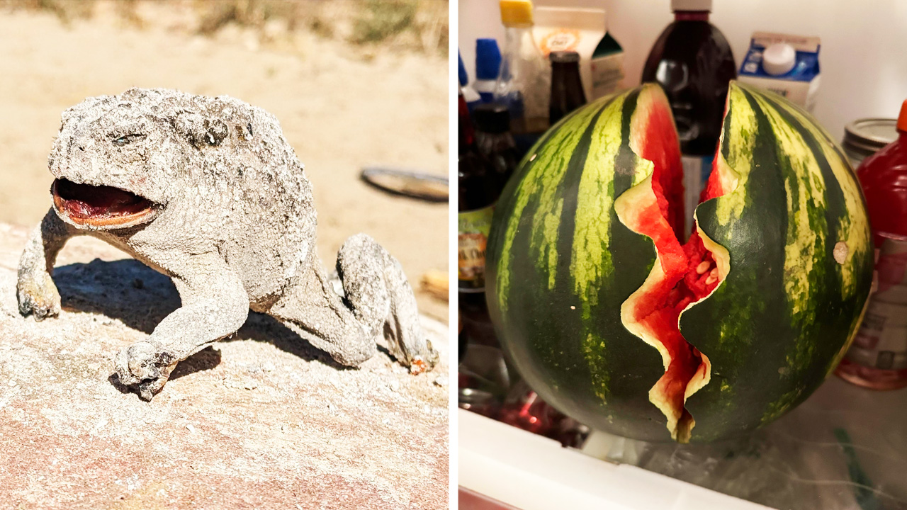 Фото, которые тебя удивят (часть 147) смотреть онлайн