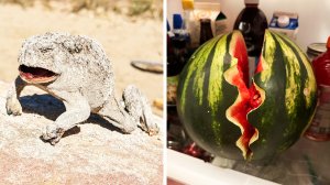 Фото, которые тебя удивят (часть 147)