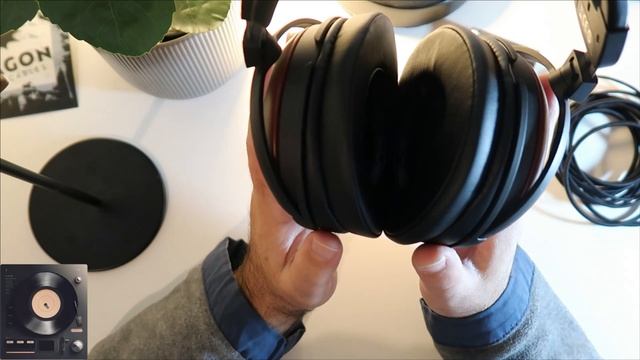 Why Moon Audio's Bronze Dragon Cable is Worth Every Penny смотреть онлайн