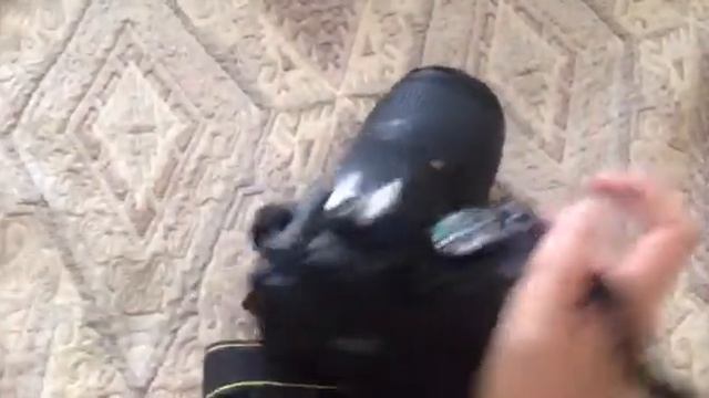 Обзор на зеркалку Nikon D5100 смотреть онлайн