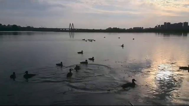 Вечер на Казанке смотреть онлайн