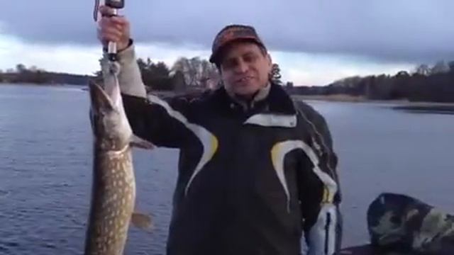 Ловля щуки на Аландах. 01 мая 2013 г. смотреть онлайн