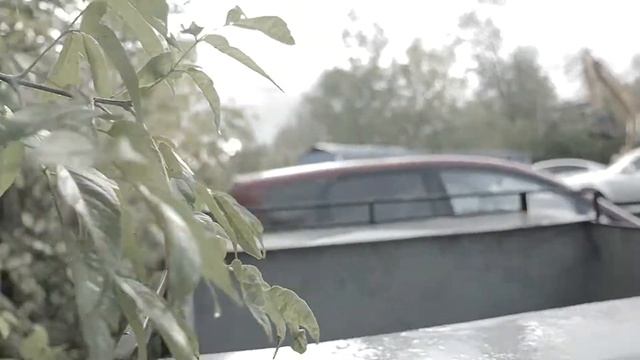 Вологодский каракат смотреть онлайн