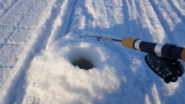 РЫБАЛКА с МОИМИ НОВЫМИ ДРУЗЬЯМИ. ( 26 марта 2022г. БЫРГЫНДА) смотреть онлайн