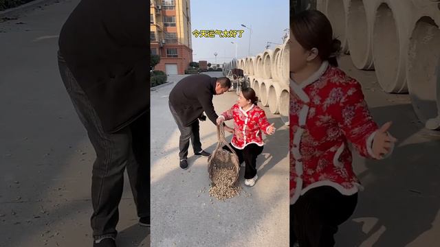My wife’s money is easy to cheat, the best funny videos in 2024, daily Chinese funny clips part 38 смотреть онлайн