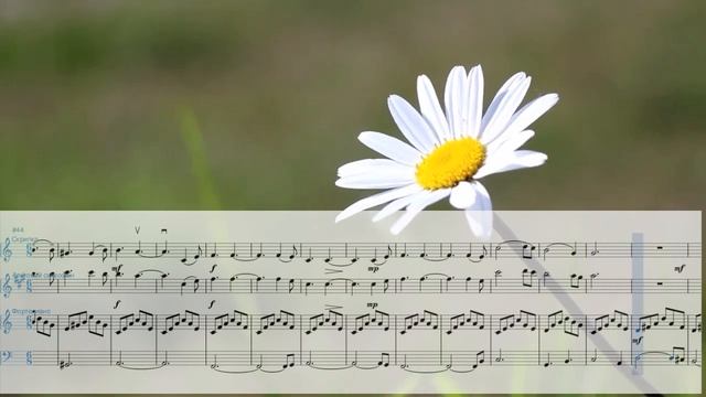 Hallelujah notes for violin saxophone and piano Аллелуйя ноты для скрипки саксофона и фортепиано смотреть онлайн