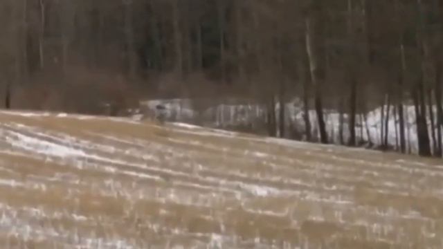 /Встреча с бесами НЛО.../ смотреть онлайн