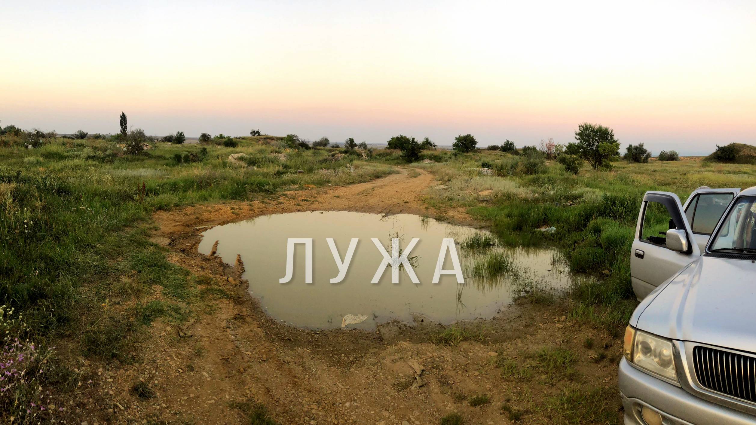 Дикая природа Крыма. Чудо-лужа. смотреть онлайн