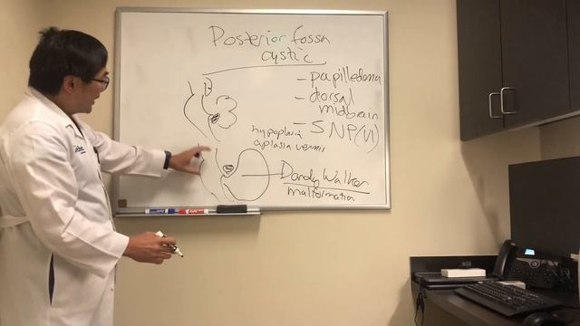 Posterior fossa cysts смотреть онлайн