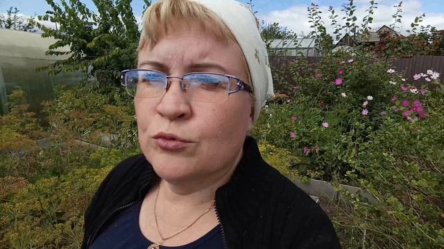 Пересадила сливу и клубнику... смотреть онлайн