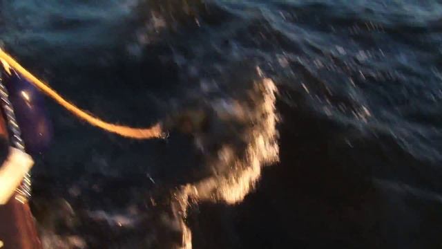 Плавдом на Финском заливе г. Выборг