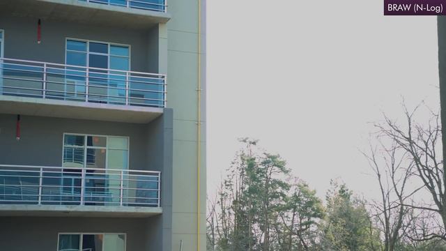 Nikon Z6 II - Video Review & Blackmagic RAW Discussion