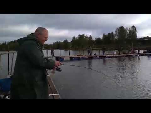 Вываживаю форель 2300 смотреть онлайн