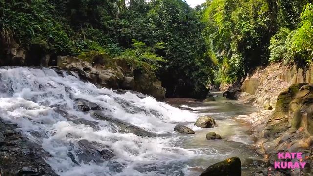 Ubud - bali. Photo session at the waterfall. Monkey forest смотреть онлайн
